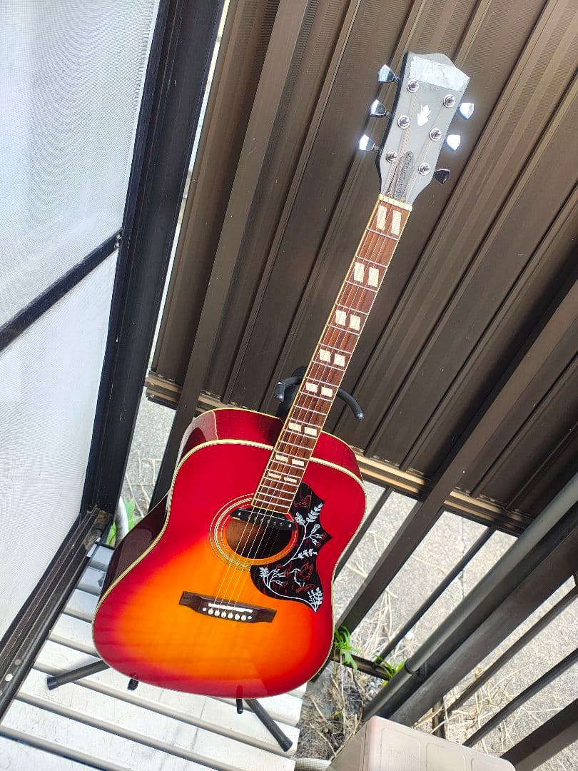 美品 ハミングバード Wピックアップ付エレアコ トップ単板