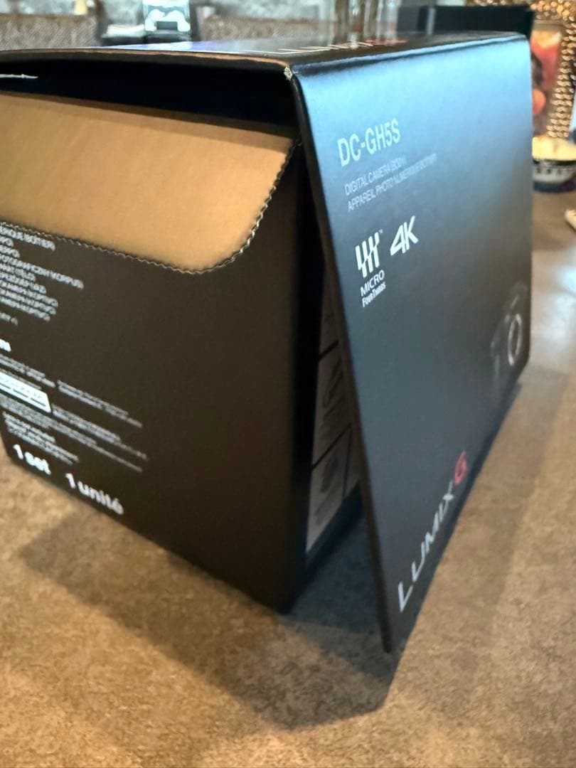 パナソニックLUMIX DC-GH5S 本体レンズセット