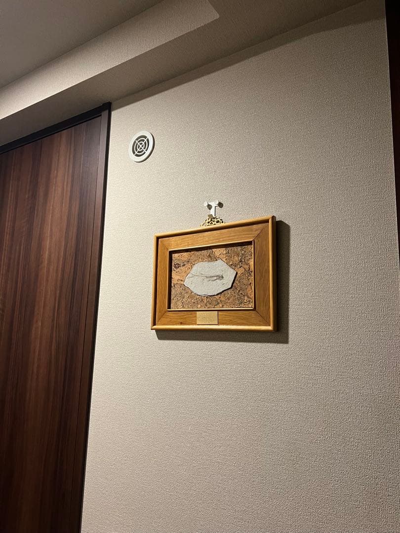 鑑定プレート付ジュラ紀魚化石LYCOPTERA木製額中国遼寧省産後期標本額装