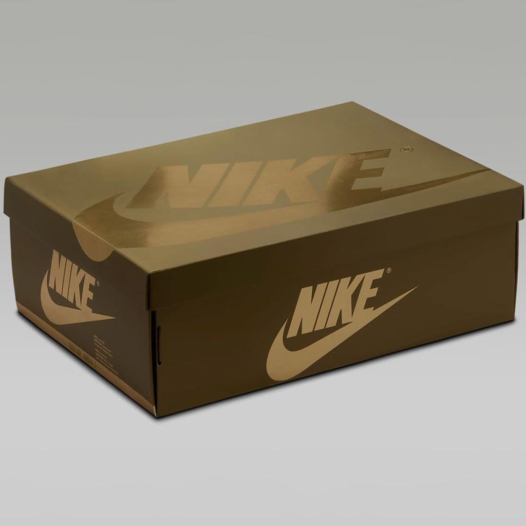 その他 AIR JORDAN 1 RETRO HIGH OG d DZ5485-071