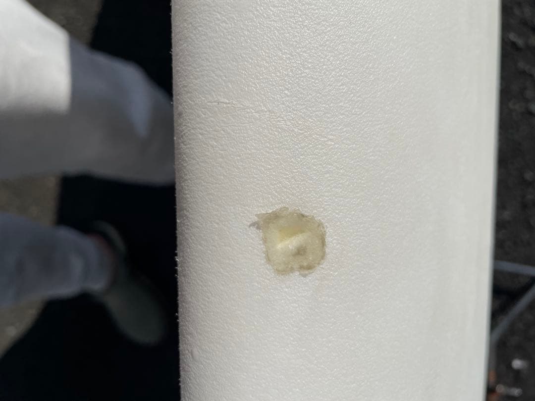 ミックファニングソフトボード THE BEASTIE 7’0”