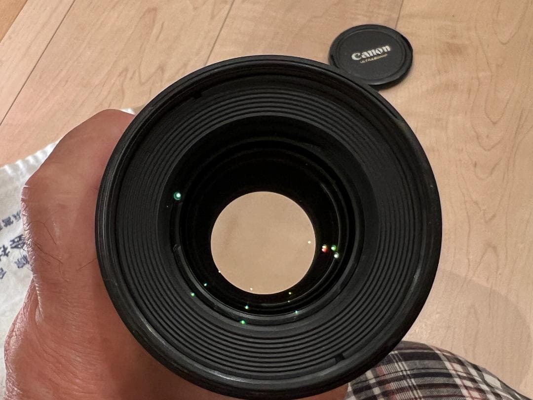 Canon EF100mm F2.8Lマクロ IS USM