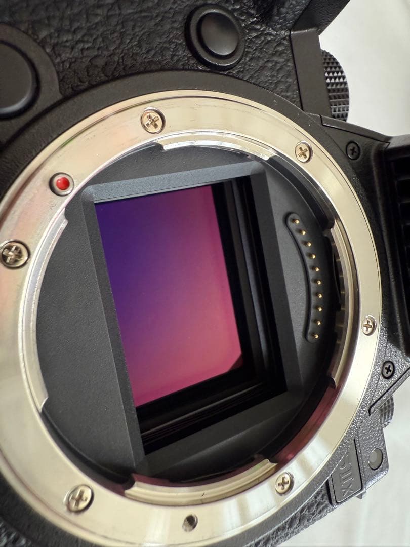 LUMIX s5Ⅱx 本体　純正バッテリー２つ