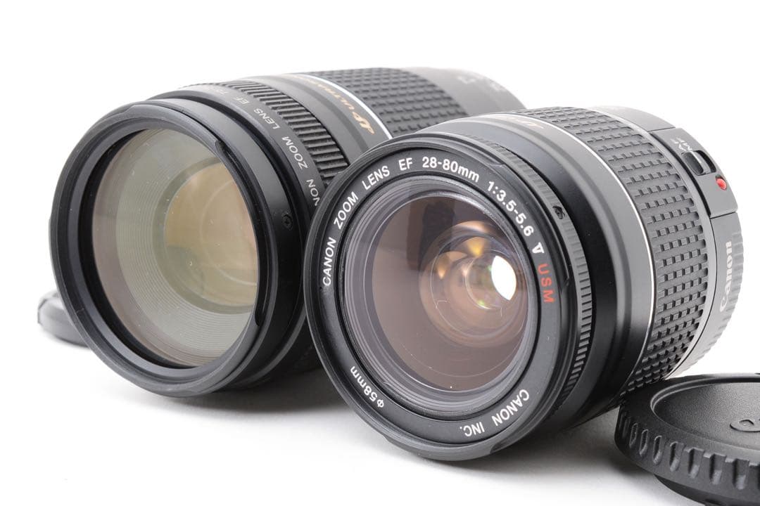 保証/キャノン/Canon EOS 5D Mark IV標準&望遠レンズセット