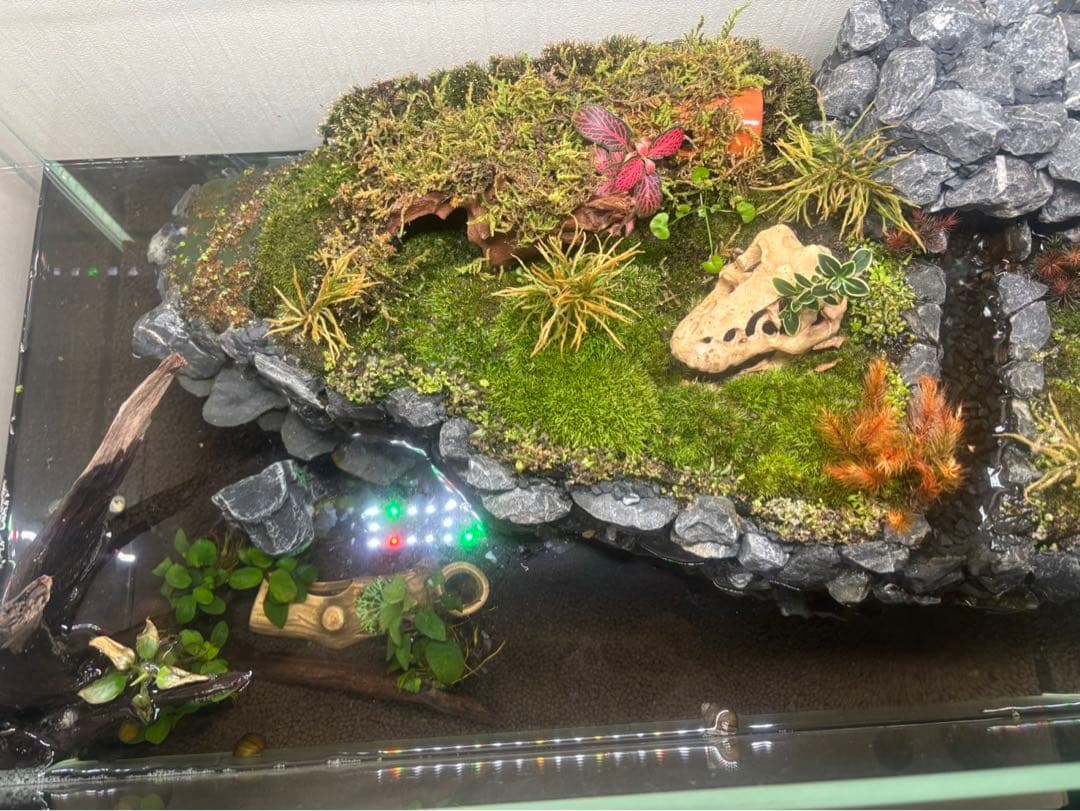 イモリウムセット　小川付　50×30×30