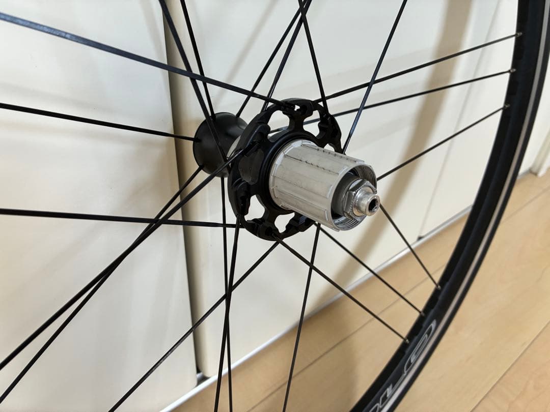 カンパニョーロゾンダ　 C17