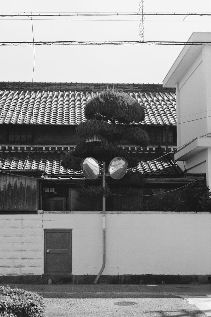 フィルムカメラ Nikon F2 Photomic DP-1 + Nikkor 50mm F2