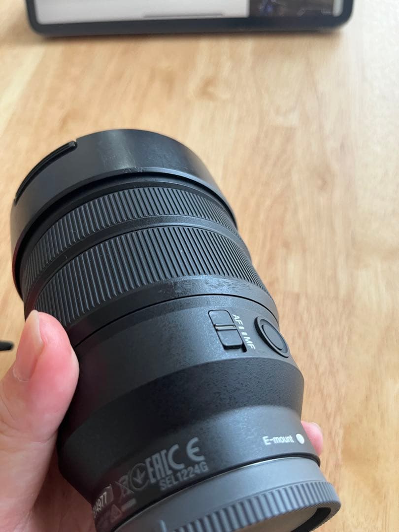 Sony FE 12-24mm F4 G レンズ