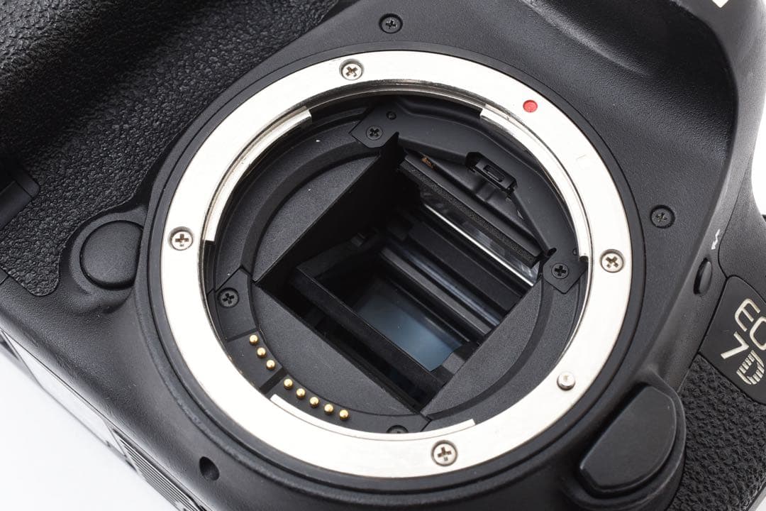 フルサイズ/Canon EOS 7D MarkII標準&望遠ダブルレンズセット