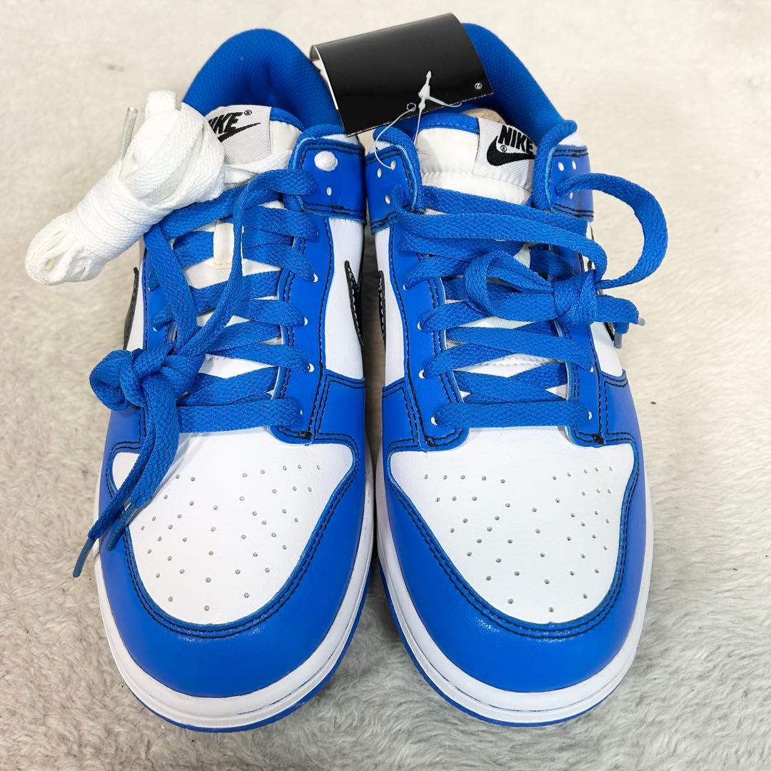 未使用❗️NIKE GOLF DUNK LOW NG SL ゴルフシューズ　25