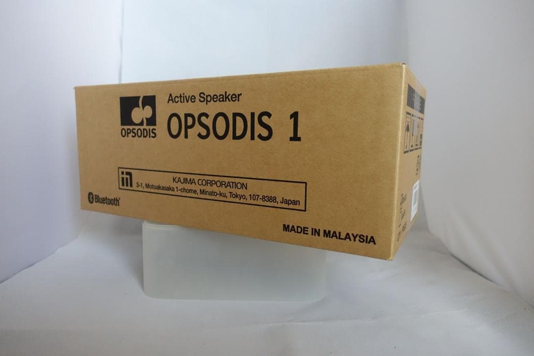 鹿島建設　OPSODIS 1 Active Speaker