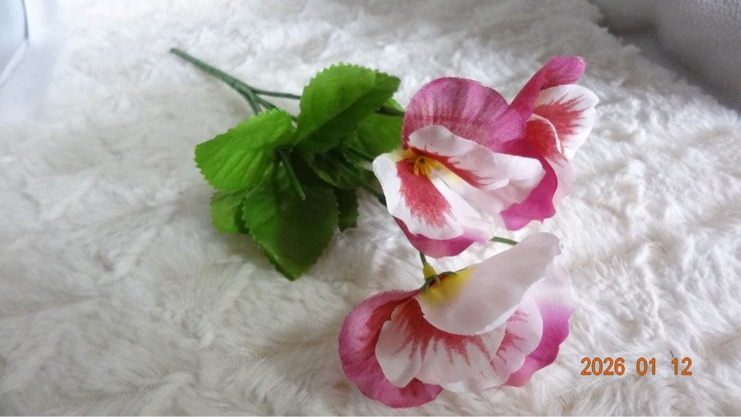 Sony Cyber-Shot DSC-WX10 動作確認済み