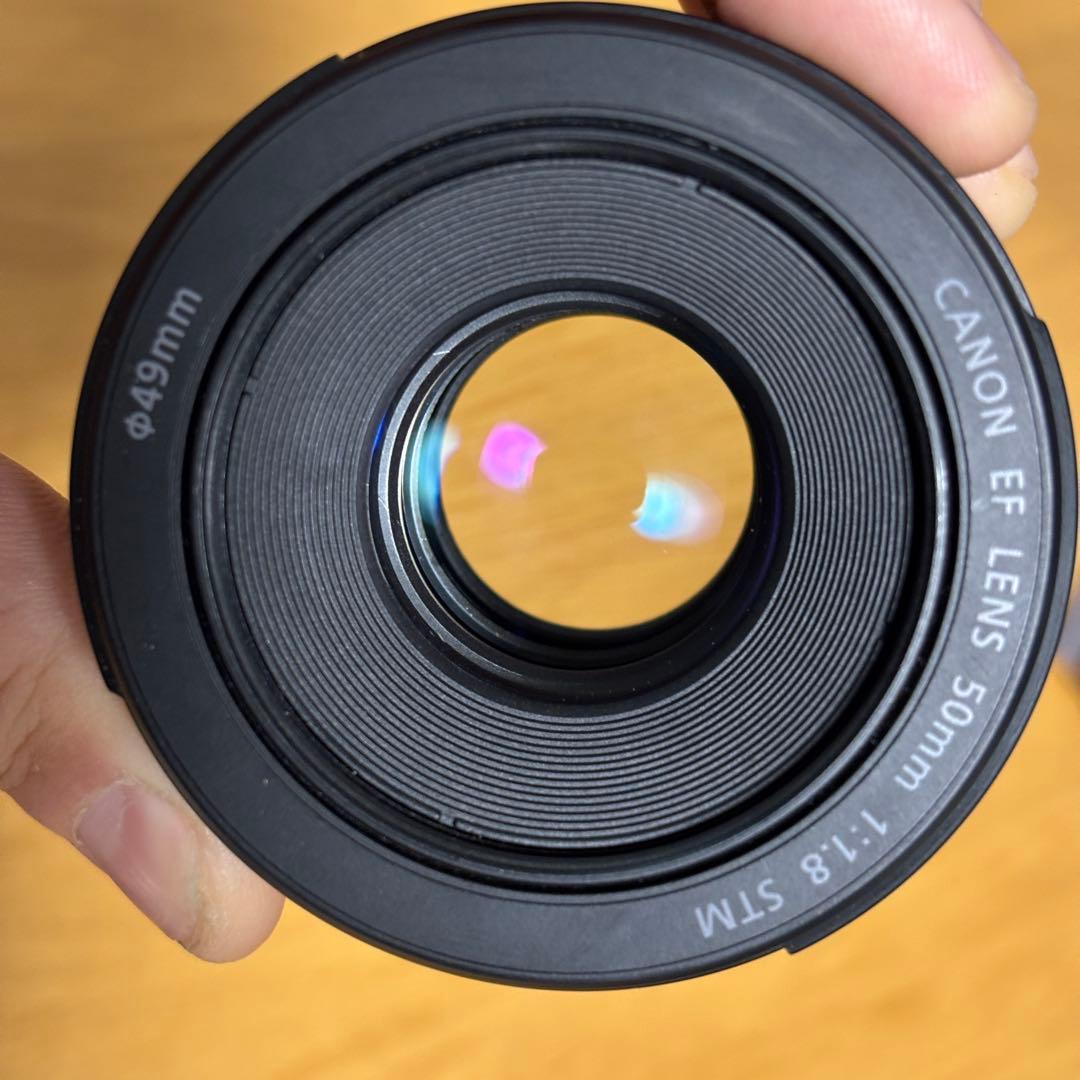 Canon EF50mm F1.8 STM 単焦点レンズ 純正フード付属