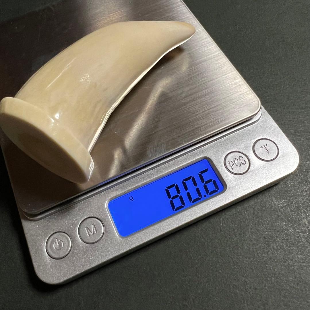 美品 鯨歯の置物【残1】