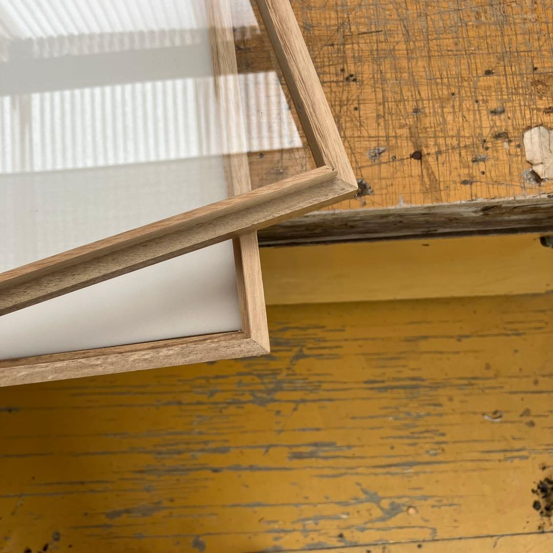 大型標本箱　2箱とペフ1枚