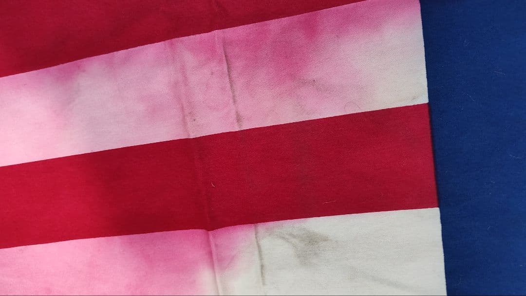 PRしました♪STÜSSY TROOPS フラッグ布製