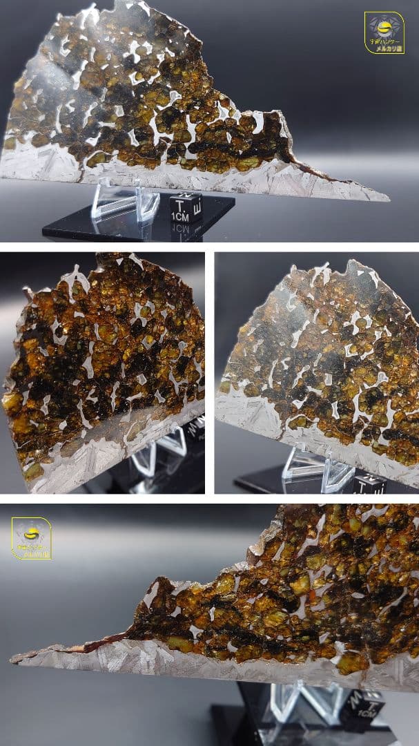 隕石 セイムチャン パラサイト 117.3g ⭐