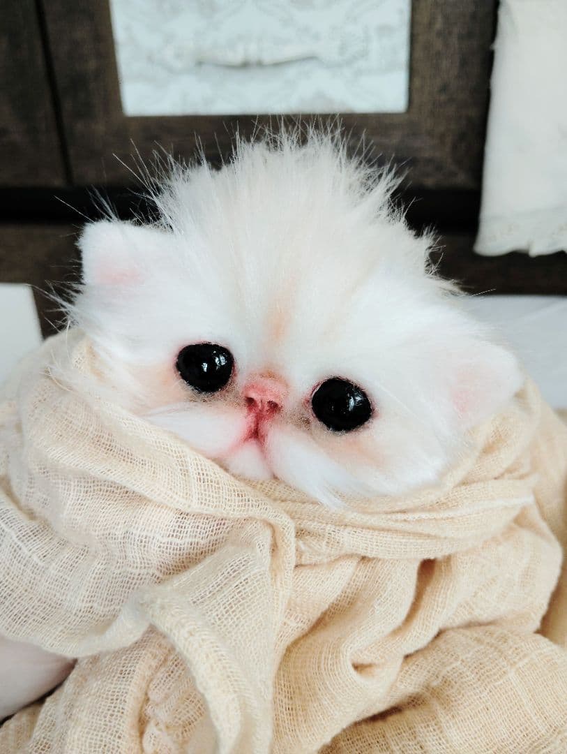 エキゾチック♡子猫のぷんちゃん♡アートドール♡ぬいぐるみ♡