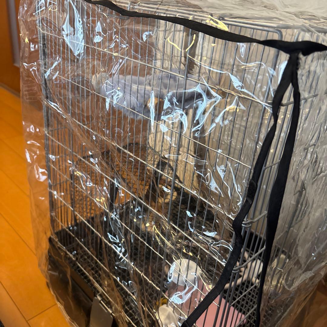 イージーホーム40ハイ・色々セット、おまけ砂浴び