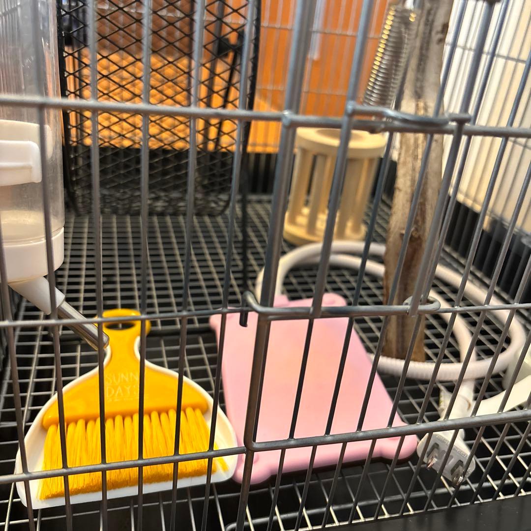 イージーホーム40ハイ・色々セット、おまけ砂浴び