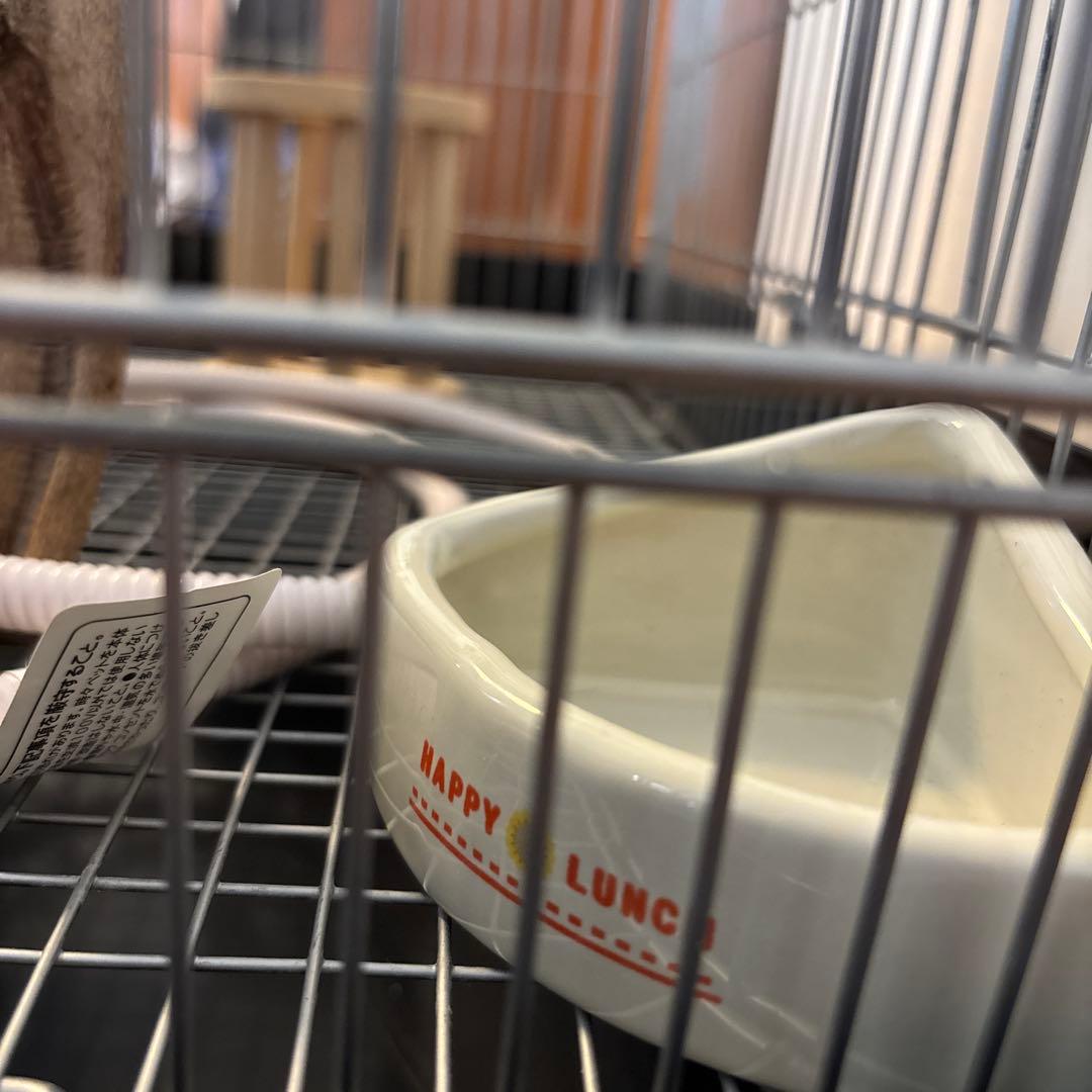 イージーホーム40ハイ・色々セット、おまけ砂浴び