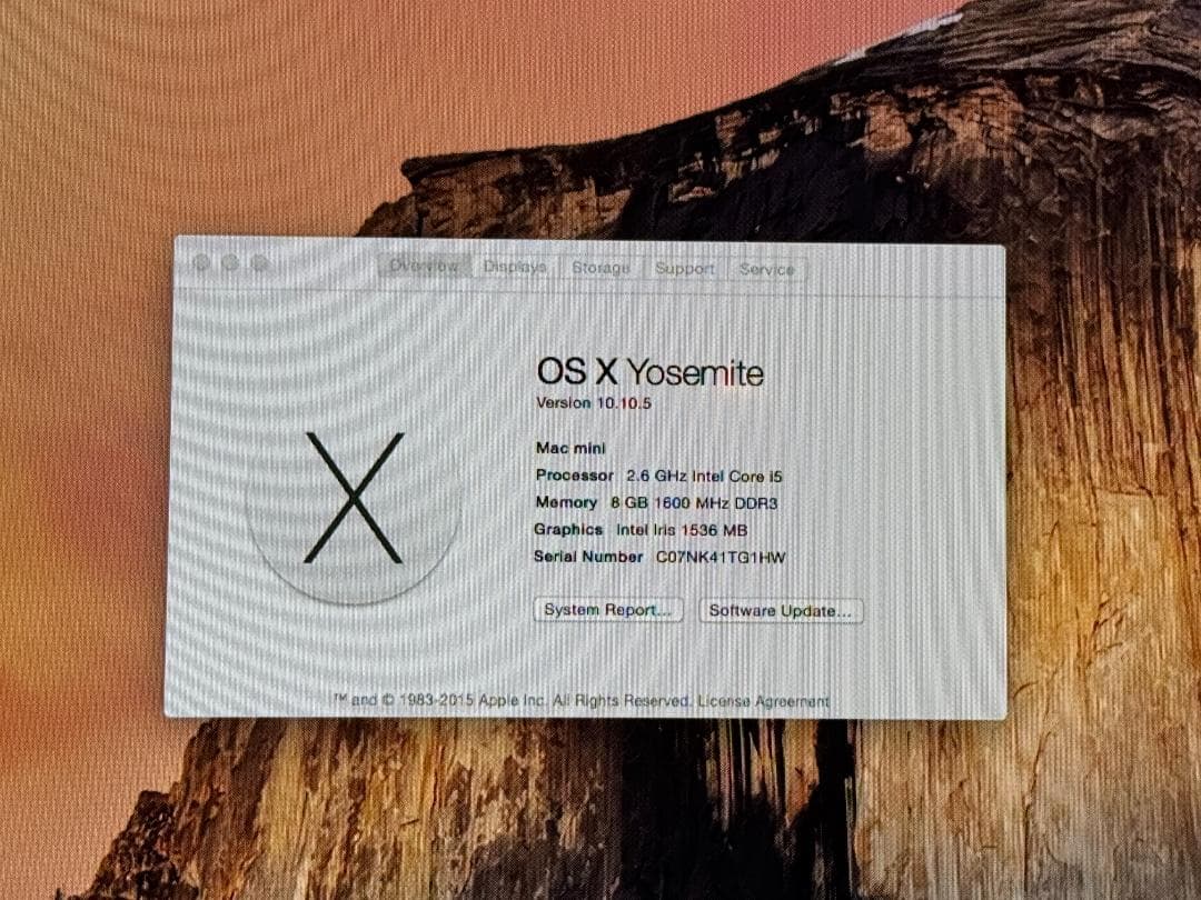 Macデスクトップ Apple Mac Mini Late 2014 i5/8GB/1TB