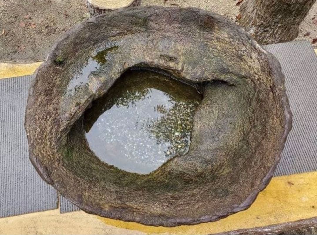 メダカ鉢　睡蓮鉢　オリジナル一品物手造りメダカ鉢　66センチ No.172