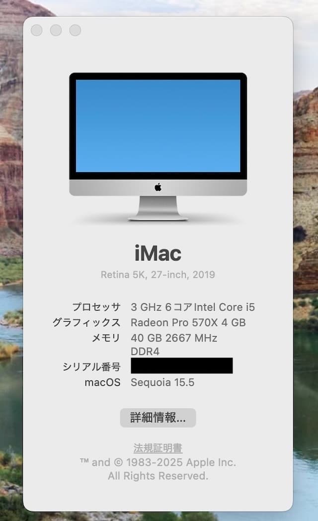 Apple iMac 5K 27インチ 2019 (メモリ40GB)本体と付属品