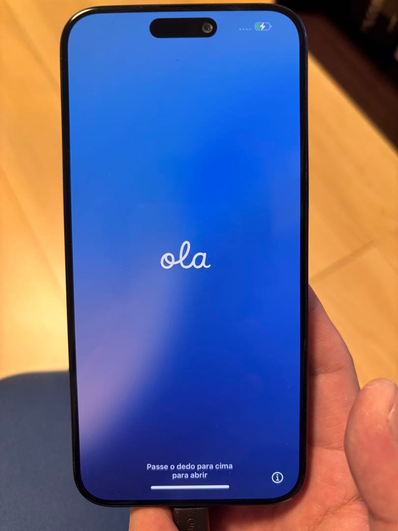 氷*水様 初*め様 iPhone 15Promax 512GB 海外製　動作不具