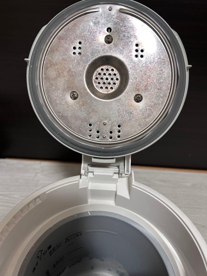 ZOJIRUSHI スチーム式加湿器　2023年製　EE-RS50型