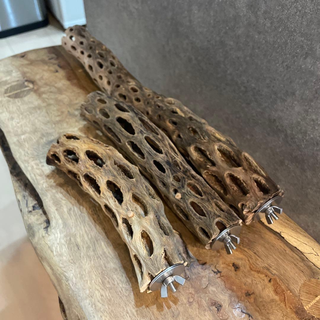 【まるさん専用】オーダーメイドカクタスパーチ相談ページ