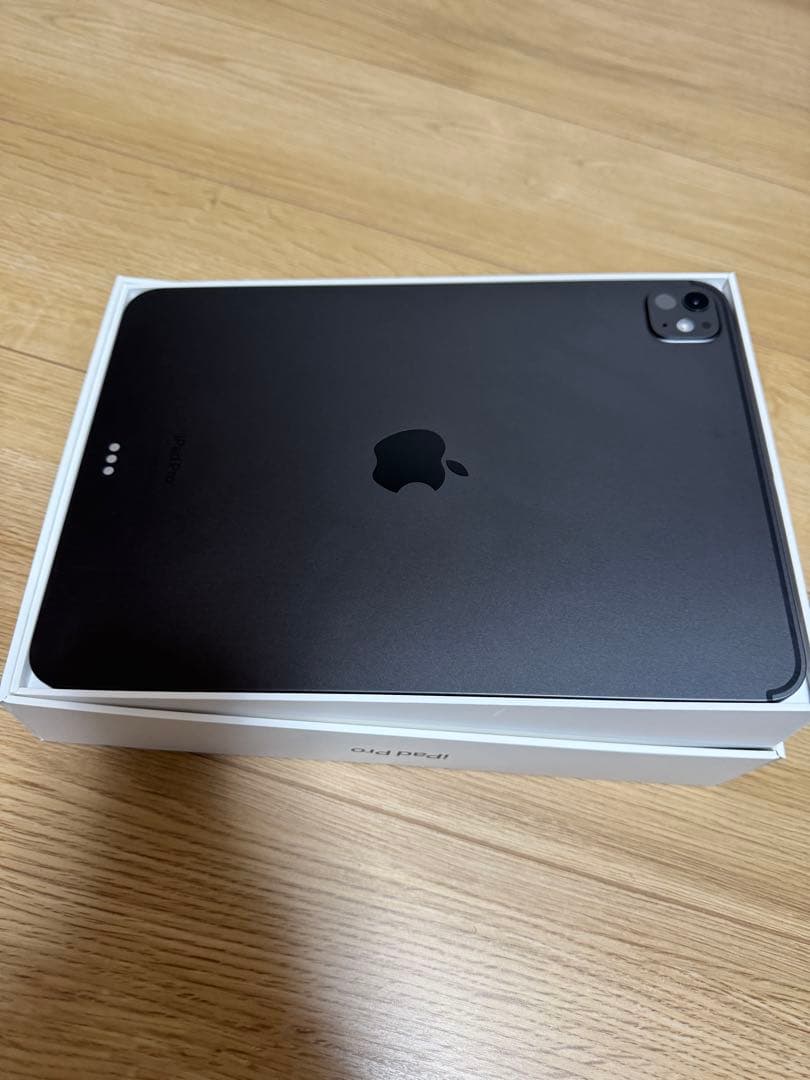 iPad Pro 11 (M4) Apple pencil pro付き