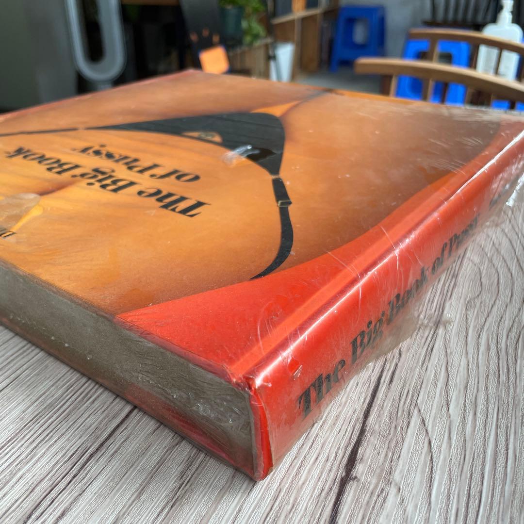 未開封新品 TASCHEN社 貴重アートブックDian Hanson