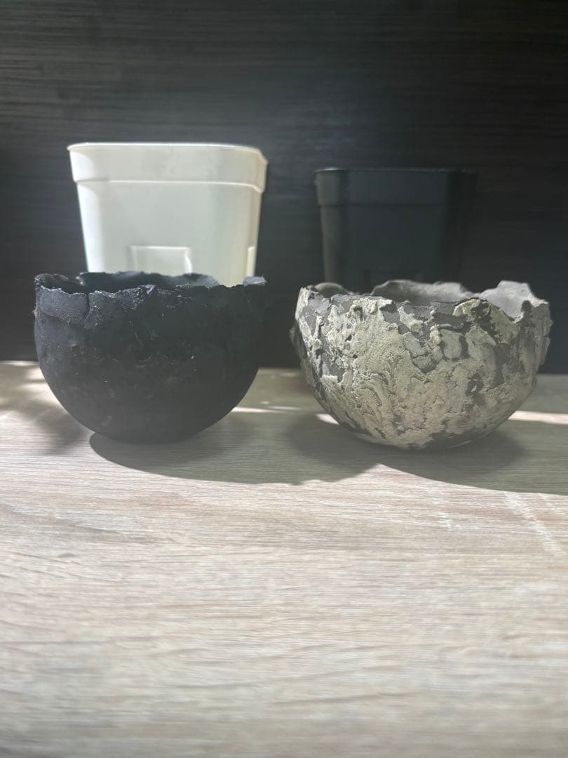 たけろうポット2個セット　タケロウポット　作家鉢