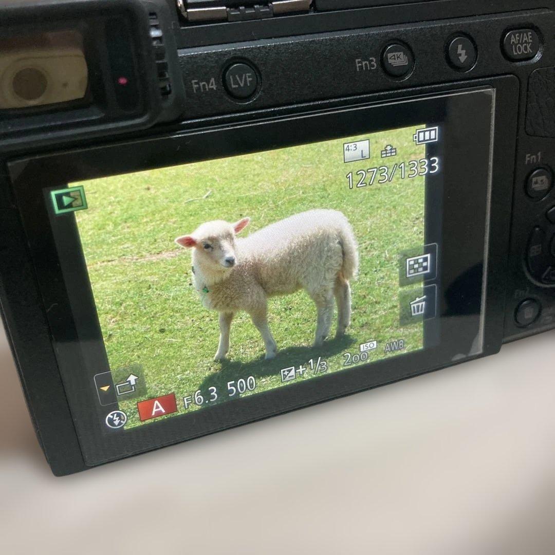 美品 LUMIX DMC-GX7MK2 シャッター回数1700以下