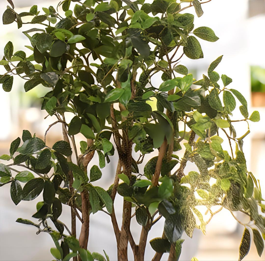 光触媒　人工観葉植物　ウォールグリーン　フェイクグリーン　ガジュマルツリー130