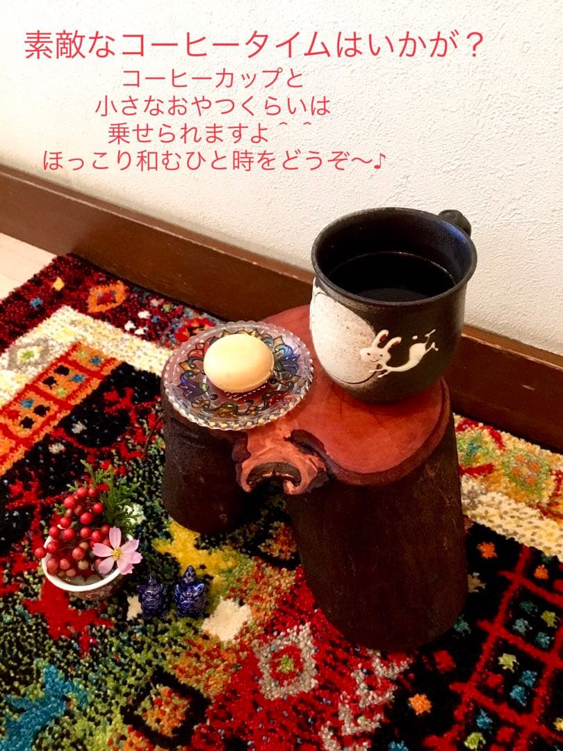 希少縁起木！天然木斛【年輪2つ！森と大自然の切り株飾り台】インテリア台＊植物台