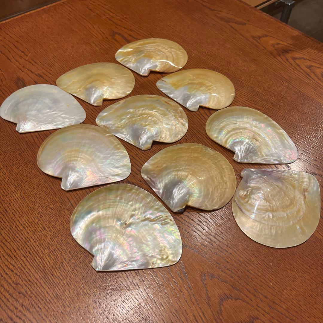 美品　オーストラリア産　磨き　シロチョウガイ　10枚セット　貝ボタン