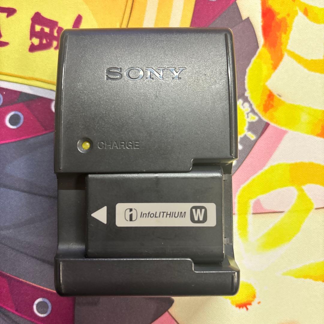 Sony NEX-5 ミラーレス一眼カメラ NEX5 本体