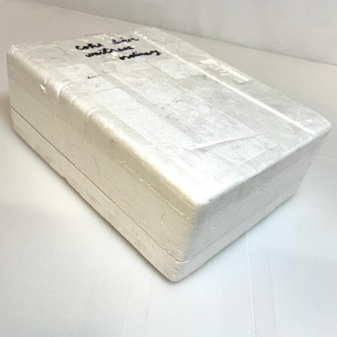 コカコーラ・1950s ウェートレス フィギュア・ダイナー＆ プレート,限定生産