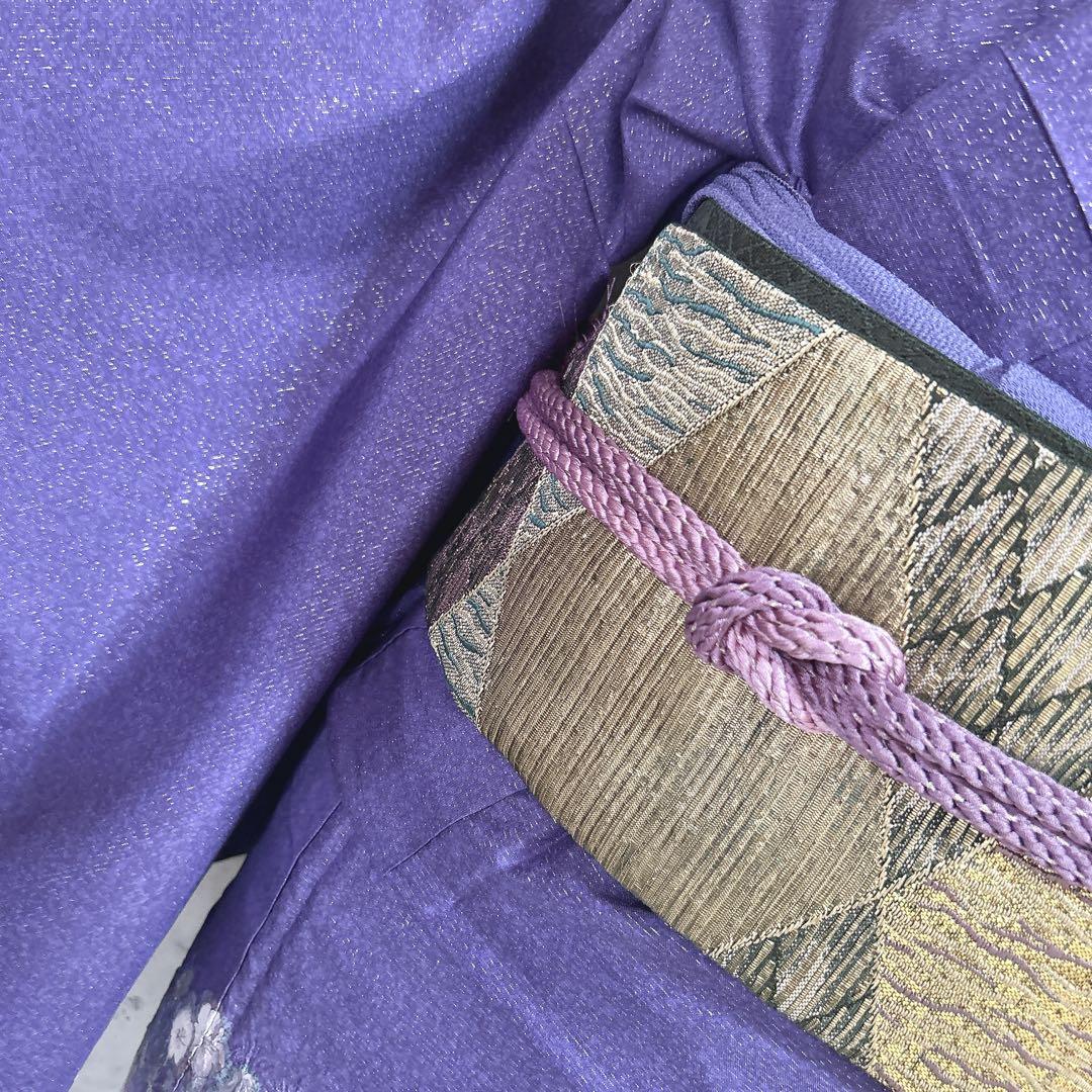 訪問着フルセット　大島紬　着物　正絹　究極のシャレ着　銀通し　辻ヶ花　未使用