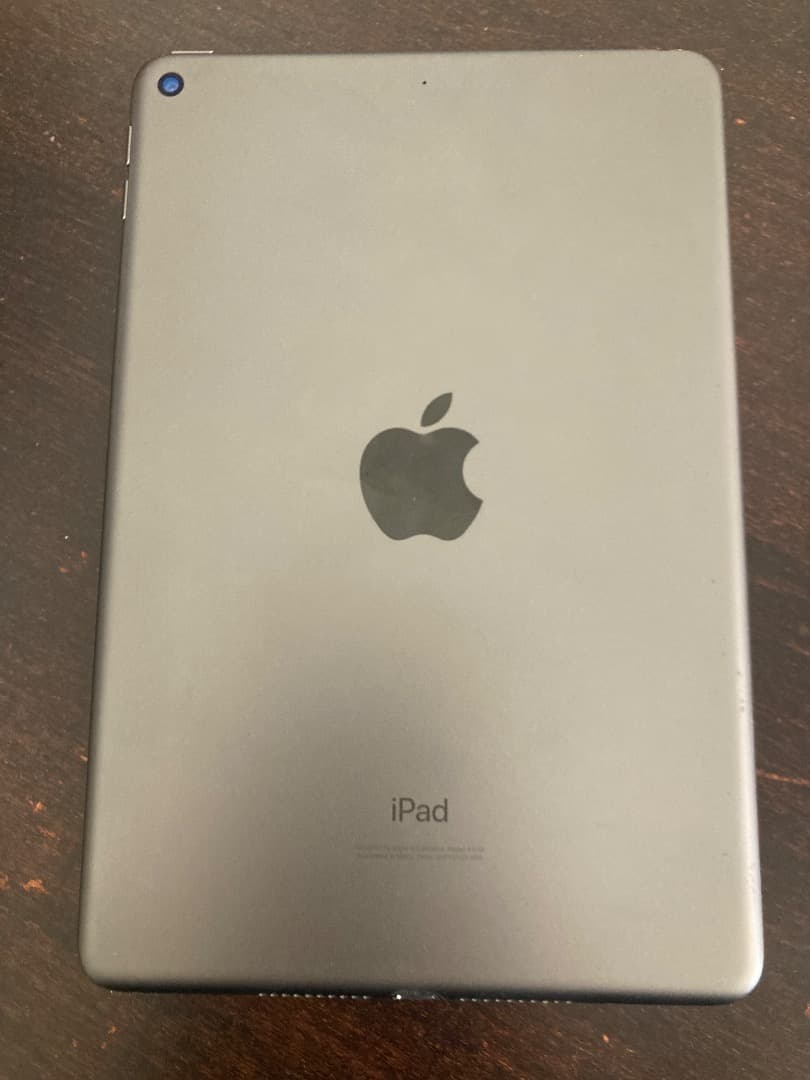 Apple iPad mini 第5世代　スペースグレイ　 ジャンク