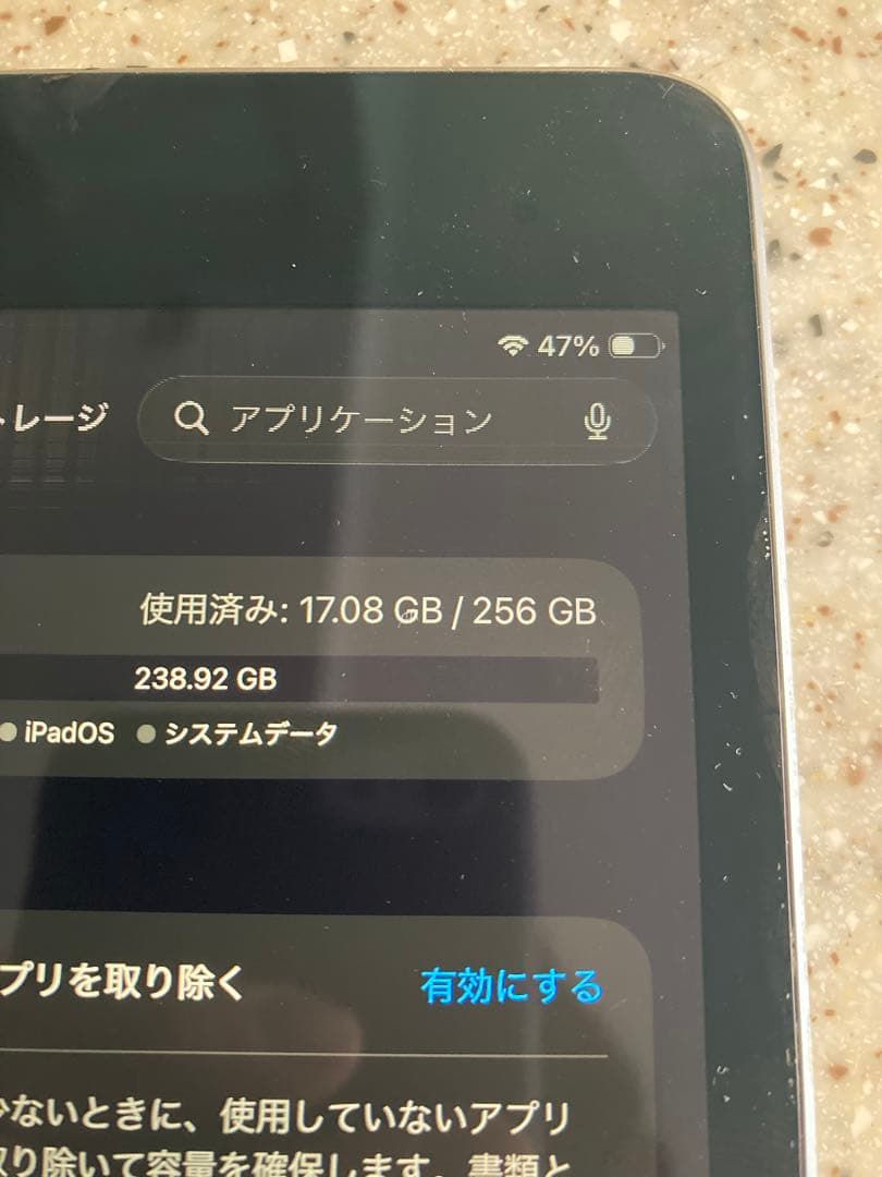 Apple iPad mini 第5世代　スペースグレイ　 ジャンク