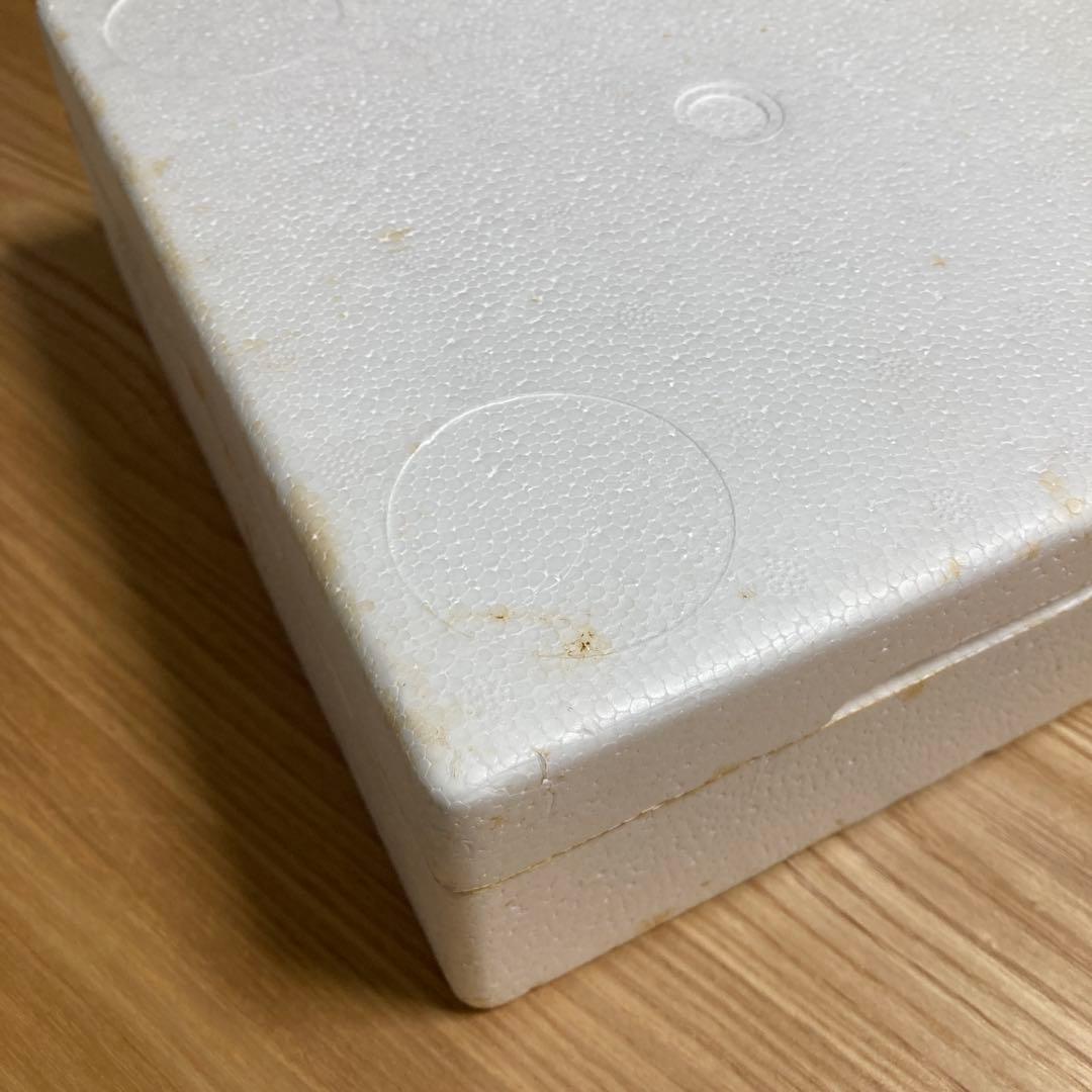 超希少　新品　LAKELAND STUDIOS 3D立体ウォールアート