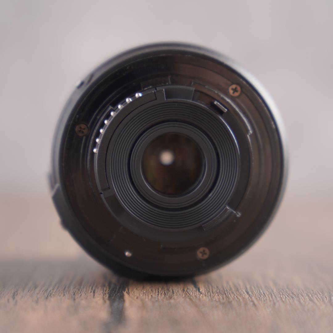 はち　Nikon D5500＋NIKKOR 55-300mm 223-1