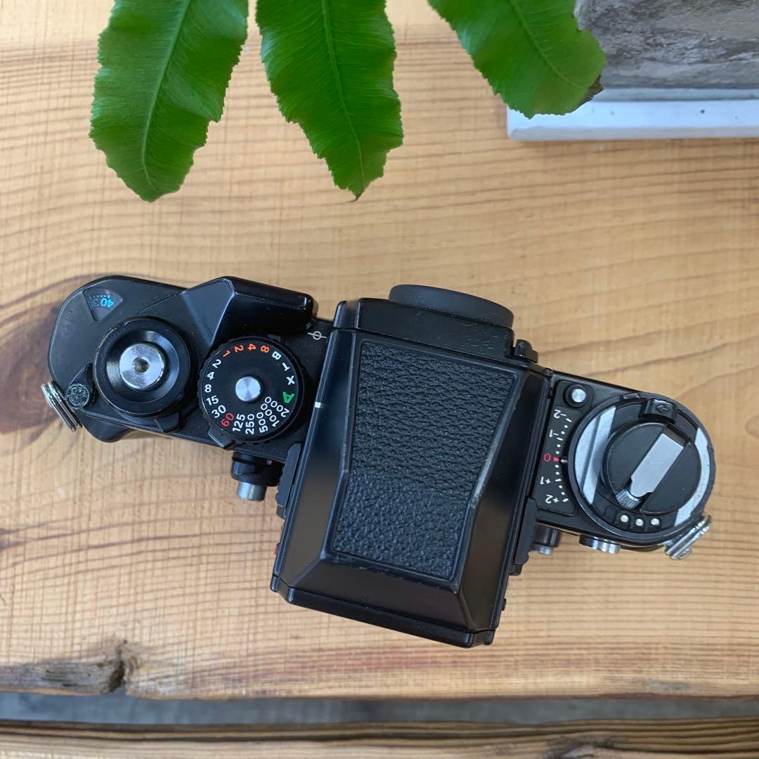 Nikon F3 アイレベル