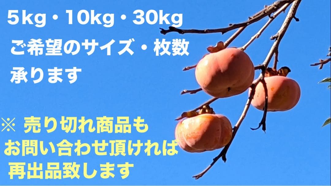 柿渋米袋　30kg x10袋