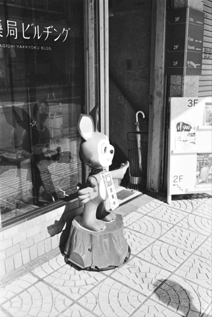 k*様 動作確認済み　Nikon F100 作例あり