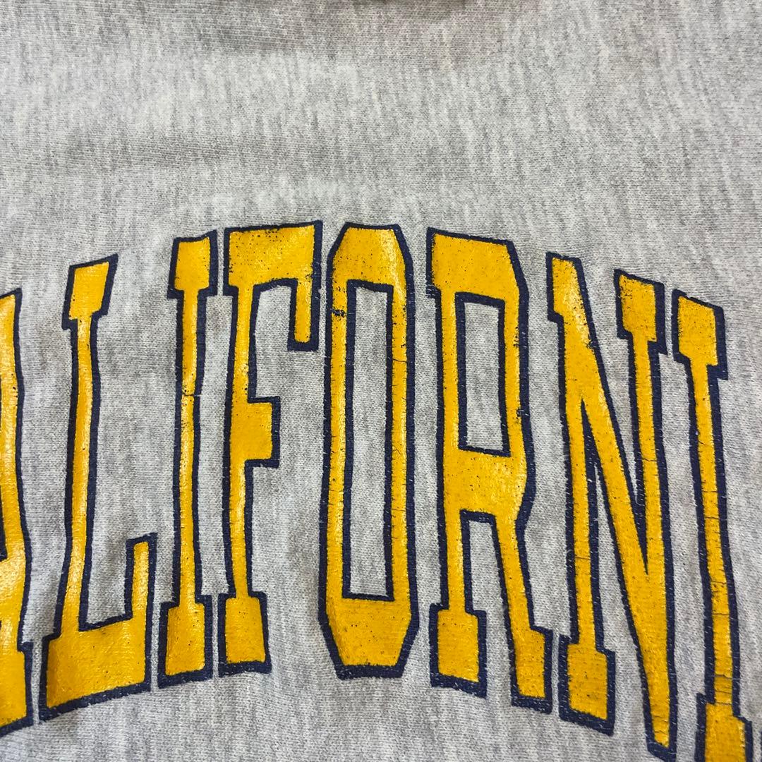 ヴ*郎様 カリフォルニア チャンピオン リバースウィーブ スウェット