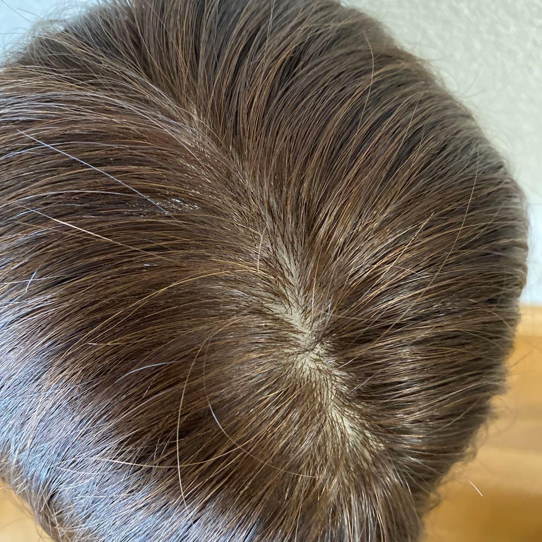 人毛ウィッグ　人毛100%